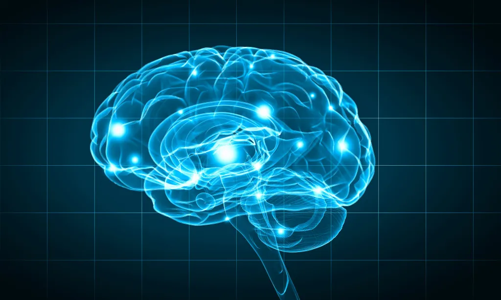 neurosurgery 3 Medical billing professional reviewing neurosurgery claims on a computer
