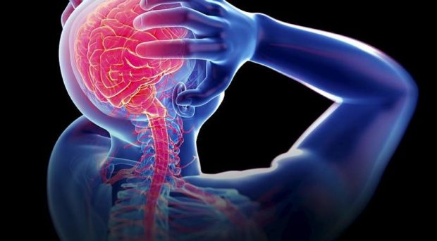 Pain Management 1 Anatomical figure highlighting the brain and spinal nerves during a pain episode