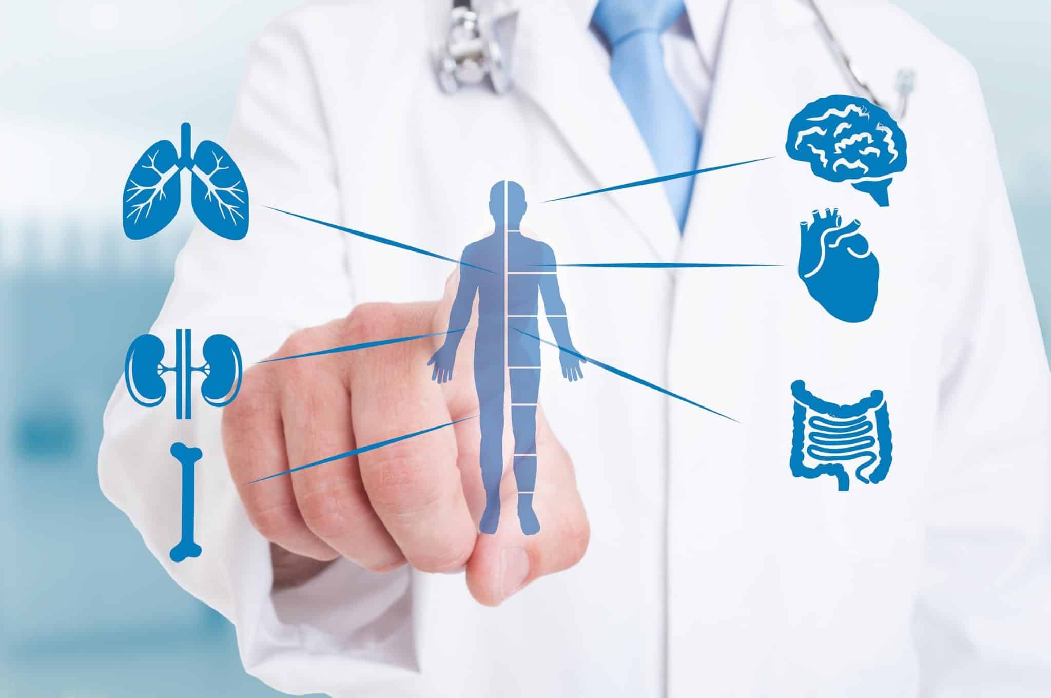 Doctor reviewing holographic diagnostic scans for internal medicine care