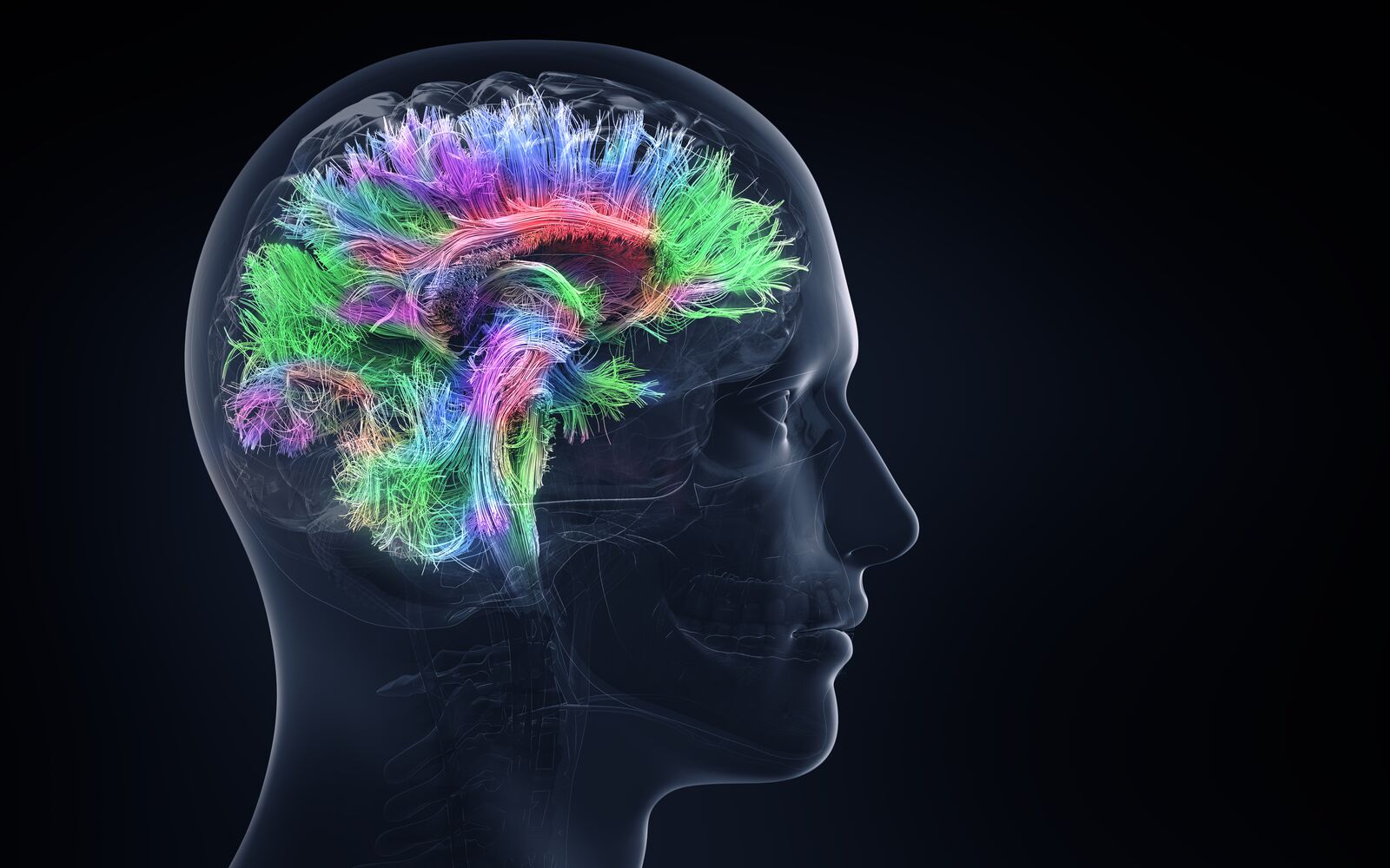 Colorful neural pathways inside a translucent human head, representing psychiatric and neurobiological care