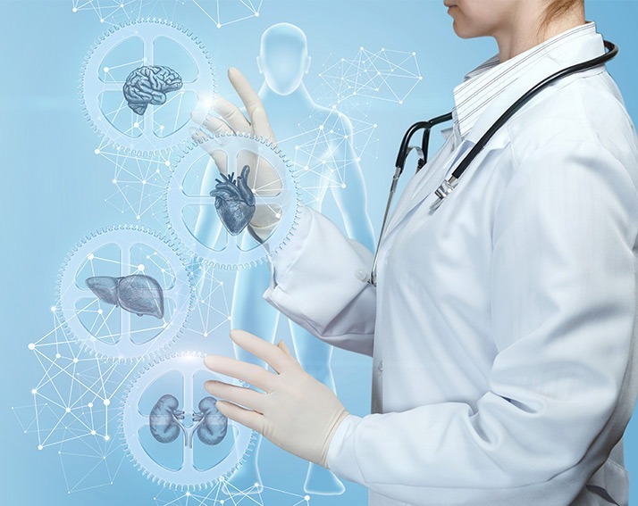 Clinician interacting with a holographic display of internal organ systems