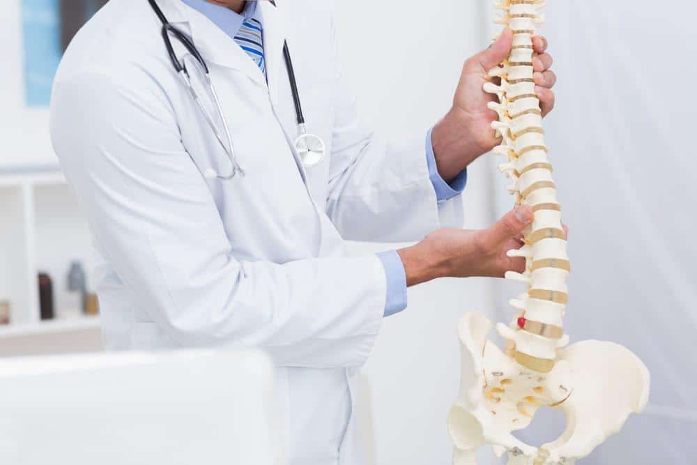 orthopedic 2 A doctor in a white lab coat holding an anatomical model of a human spine and pelvis in a clinical setting